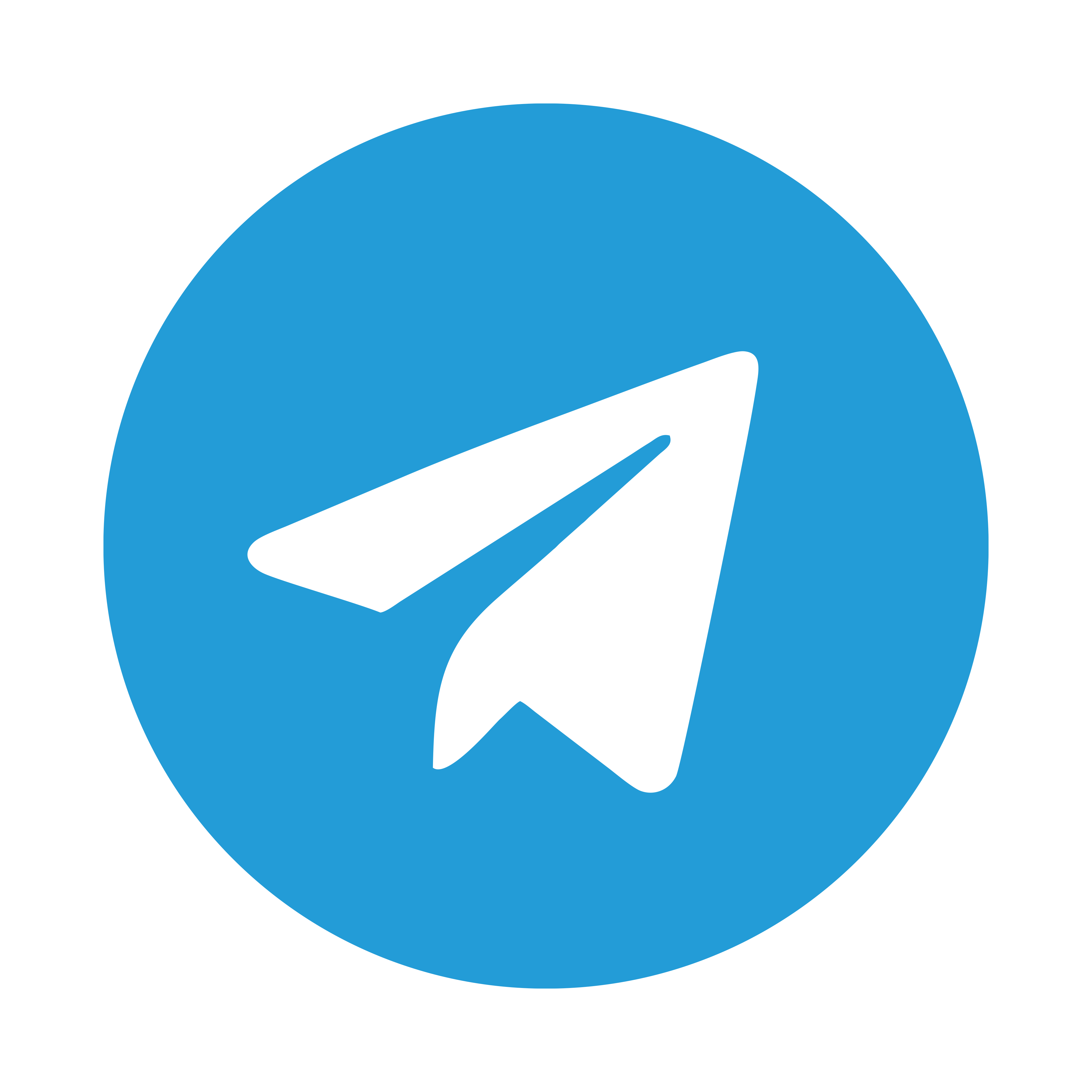 Telegram Logo